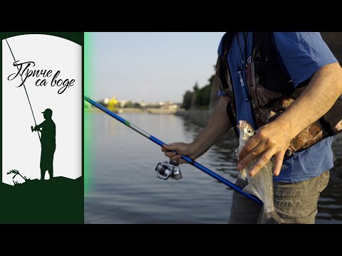 Priče sa vode ep. 151 23.08.2022. Bolonjezom u gradskoj zoni, Dunav kod Novog Sada