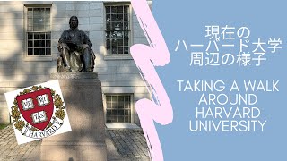 Taking a walk around Harvard University【最近のハーバード大学周辺の様子】
