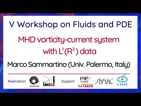V Workshop on Fluids and PDE - September 30th, 2021 - Marco Sammartino