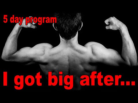 Increase Muscle Mass - 5 day split