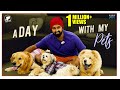 A Day With My Pets ||  Yash Adda || Yash Dance