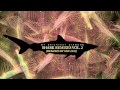 My Brightest Diamond - The Diamond (Son Lux's ...