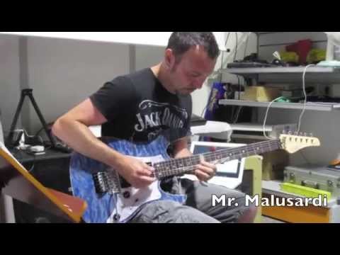 FGN (Fujigen) Rob Marcello signature guitars, Made in Japan. Different colors available. image 13