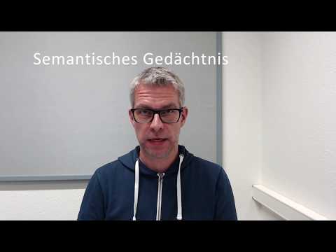 Langzeitgedächtnis: semantisches und episodisches Gedächtnis