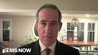 Rep. Raskin: The fatal shootings of Good & Pretti are ‘a massive assault on civil liberties’