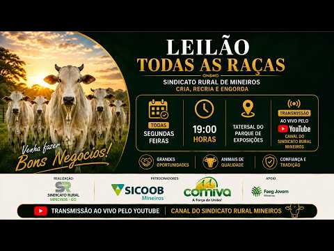 LEILÃO TODAS AS RAÇAS - MINEIROS-GO | 06/07/2026 | 19:30h