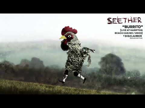 Videoclip de Burrito (Live At Hampton Beach Casino / 2003) — Seether