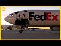 Giant pandas arrive in US from China