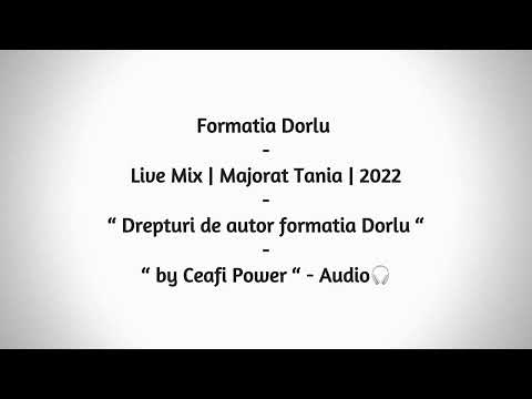 Formatia Dorlu - Live Mix - Majorat Tania - 239