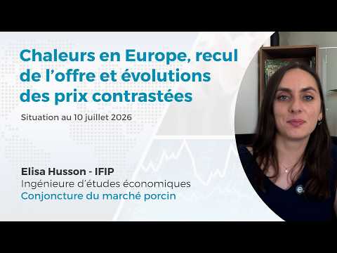 Marché du porc : chaleurs en Europe, recul de l'offre et évolutions des prix contrastées