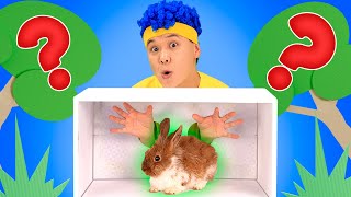 What’s Inside the Box? | D Billions Kids Songs