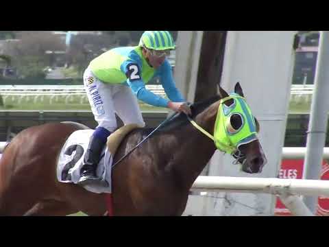 221001 c01 SINAI THUNDER