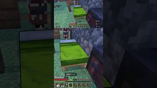 ベッドを1個置いただけで 求愛行動だらけ #マイクラ #Shorts