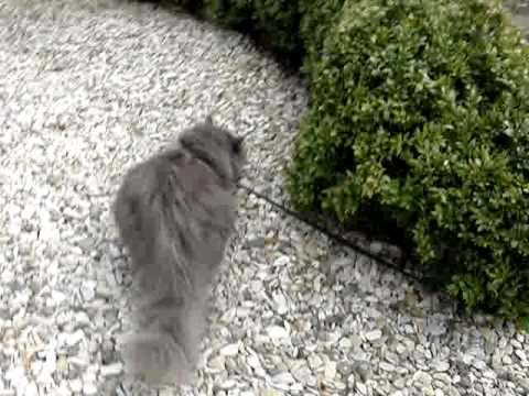 Naïma's discovery of the garden