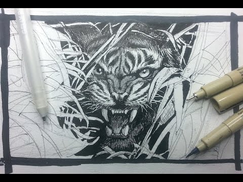 Pen Ink Drawing Tutorials | How to draw a tiger