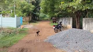  Commercial Land for Sale in Srinivasapuram, Thanjavur