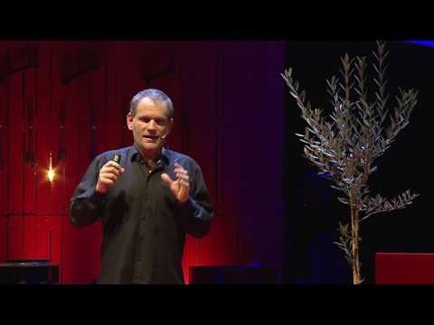Foglie dallo spazio | Loris Vescovo | TEDxTrento