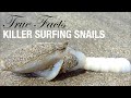 True Facts: Killer Surfing Snails