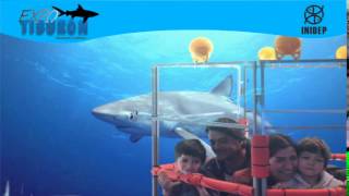 DIA 3 Expo Tiburon85