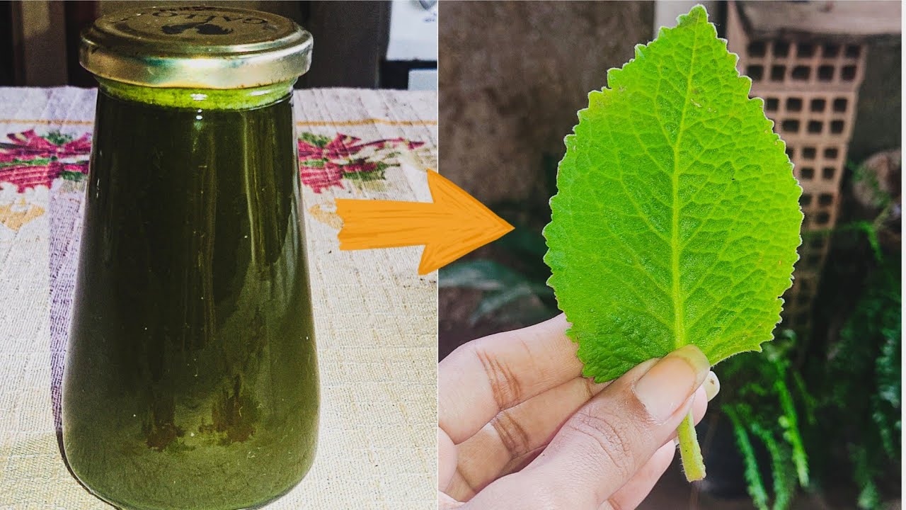 tônico natural Crescimento CAPILAR cura CALVÍCIE e queda CAPILAR