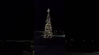 Loveless Christmas Tree