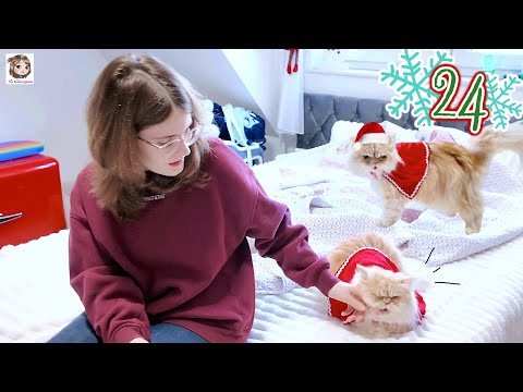 ADVENTSKALENDER 2025 - TAG 24 ⛄ Heiligabend und Hannah öffnet ihre letzten Türchen 🎅🏻