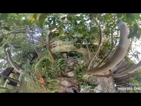 Take an enlightening journey into the history of haiku in Iga City.