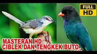 Download lagu Masteran Burung Full HD | Ciblek dan Tengkek Buto mp3