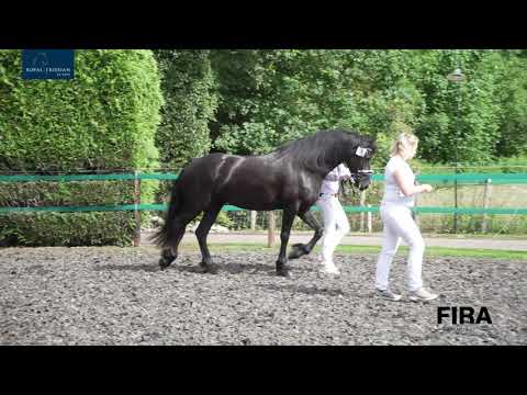 Locatiekeuring Stal Bosma 3-7-2020