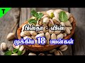 பிஸ்தா பருப்பின் 18 பயன்கள் Pistha Paruppu Benefits Tami