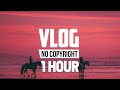 [1 Hour] - Jarico - Landscape (Vlog No Copyright Music)