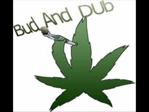 Fenner And Quazzer I Was Wrong dubstep mixture