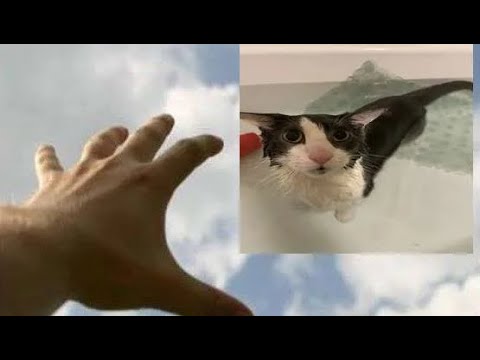 darkmetroidomega - The Final Phase (High Pitch)