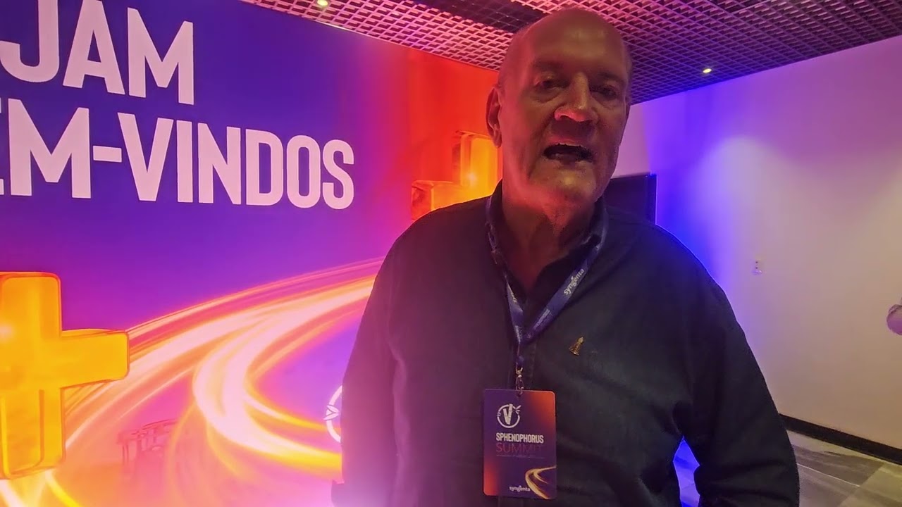 Sphenophorus avança nos canaviais e exige controle mais efetivo
