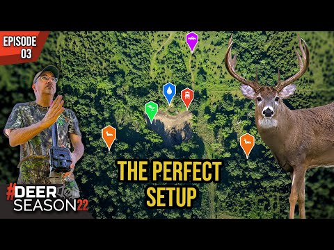 Killer Food Plots, Mark's BEST Tips To Construct The Perfect Plan | Deer Season 22