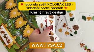 KOLORÁK LES - Skládání podle předloh. Suchý zip (2-6 let)
