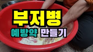 부저병 예방약 만들어서 꼭 예방하세요