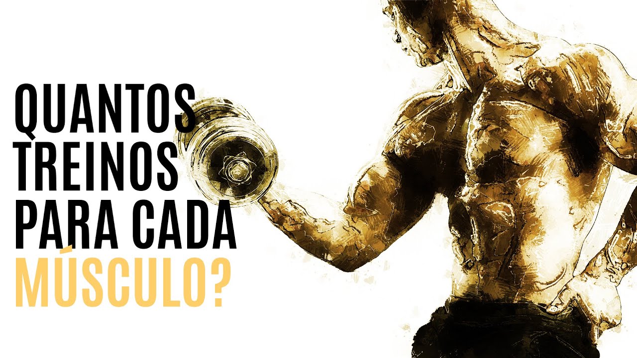 Quantas vezes treinar por semana - cada músculo.