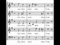BWV 227 Jesu Meine Freude - 1st Movement by Johann Sebastian Bach