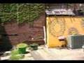 Community Mediation Garden HGTV