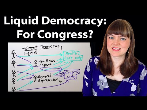 Jim Rutt’s Liquid Democracy Idea