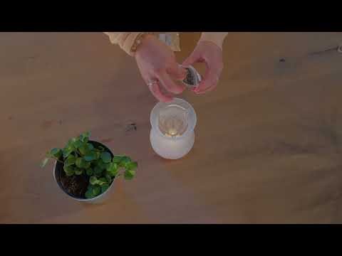 Aromalife Lucerna Räucher- & Aroma-Duftlampe