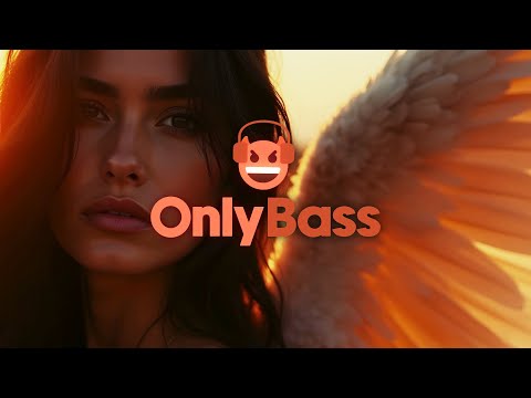 PET3RPUNX & Acid Boyz - Edge Of Seventeen