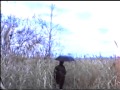 Настя Полева - Марш плывущих Офелий (клип, 1989 г.) 