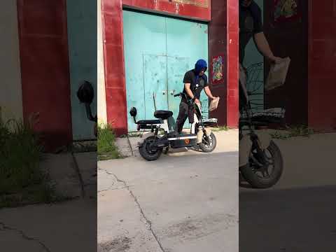 A golden retriever that doesn t hold grudges #panda #amnewbutnottheleast #pets