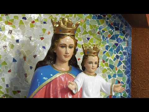 DAILY HOLY MASS Live @ 7.00 pm ----  27.05.2020