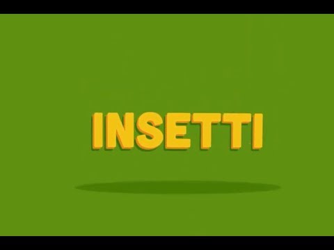  Le video interviste di Popotus: gli insetti