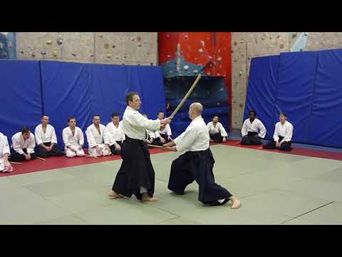 Luc Mathevet & Cyril Lagrasta Aikido Dublin