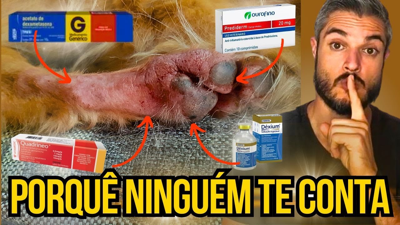 REMÉDIO BARATO ANTI COCEIRA ANTI ALÉRGICO ANTI INFLAMATÓRIO PARA CACHORRO TODOS USAM MAS NÃO FAZ BEM