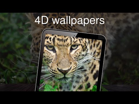 4D wallpapers 4k Video